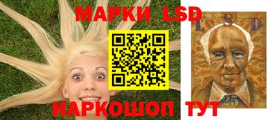 гидропоника Пенза