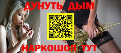 гидропоника Пенза