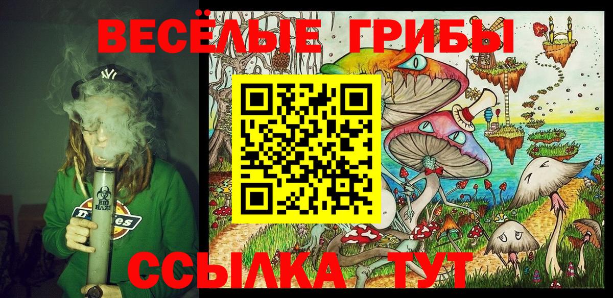 Псилоцибиновые грибы Psilocybine cubensis Сухой Лог